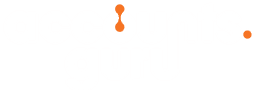 Accounts.Guru